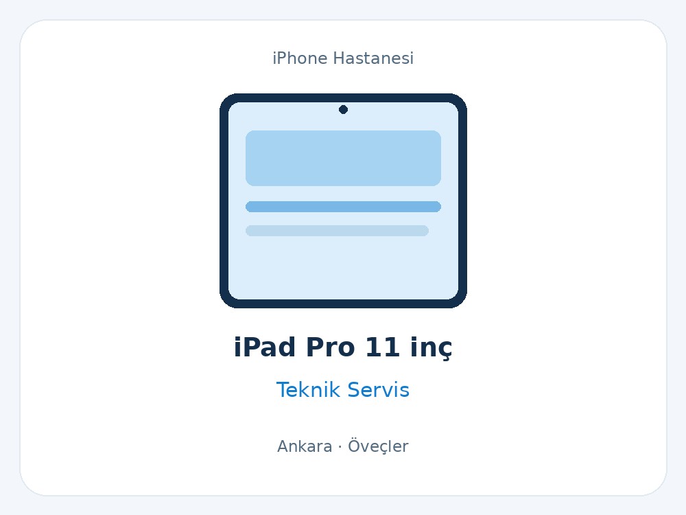 iPad Pro 11 inç